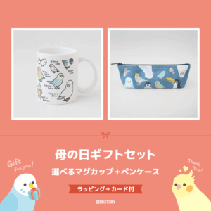 母の日ギフトセット（選べるマグカップ＋ペンケース＋カード付）