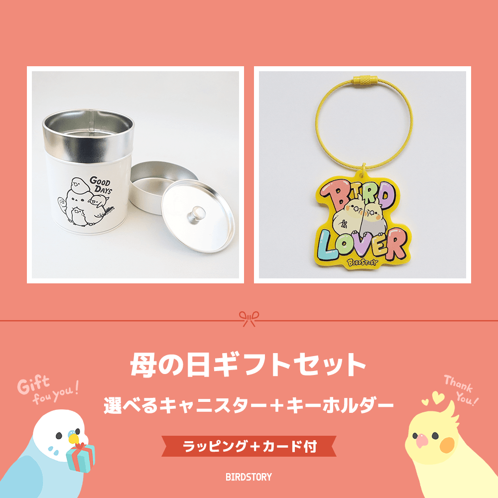 母の日ギフトセット（選べるキャニスター＆キーホルダー＋カード付）