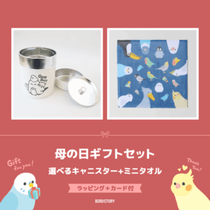 母の日ギフトセット（選べるキャニスター＆ミニタオル＋カード付）