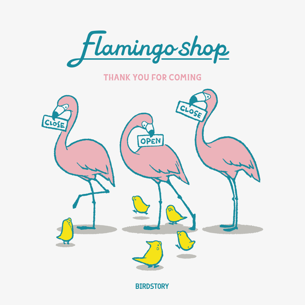 フラミンゴ Tシャツ BIRDSTORY