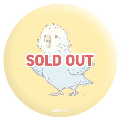 セキセイインコのヒナ雛 イラスト