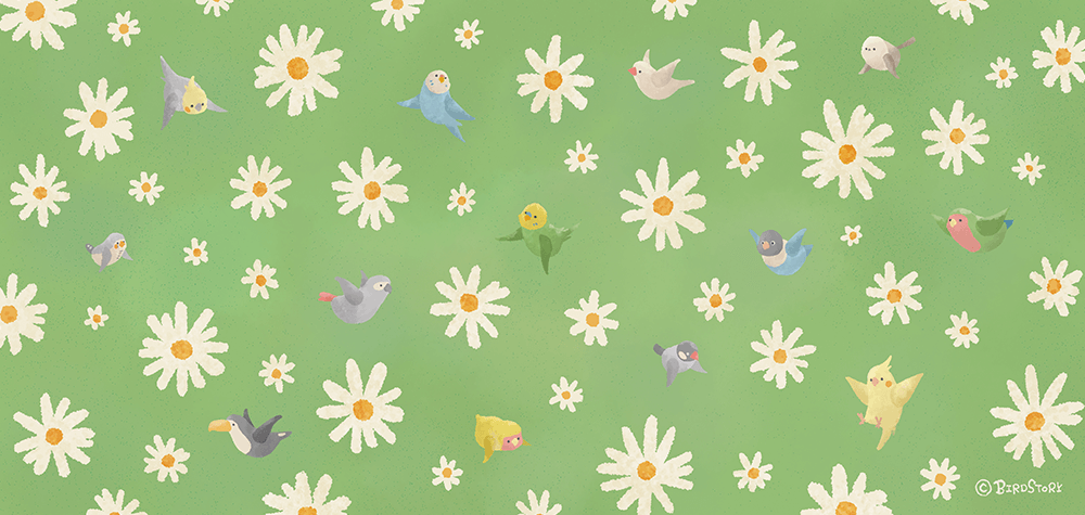 マーガレット お花と小鳥 イラスト