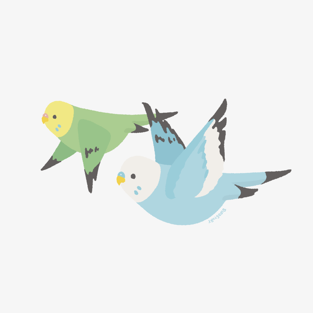 フライングバード 空を舞うセキセイインコイラスト