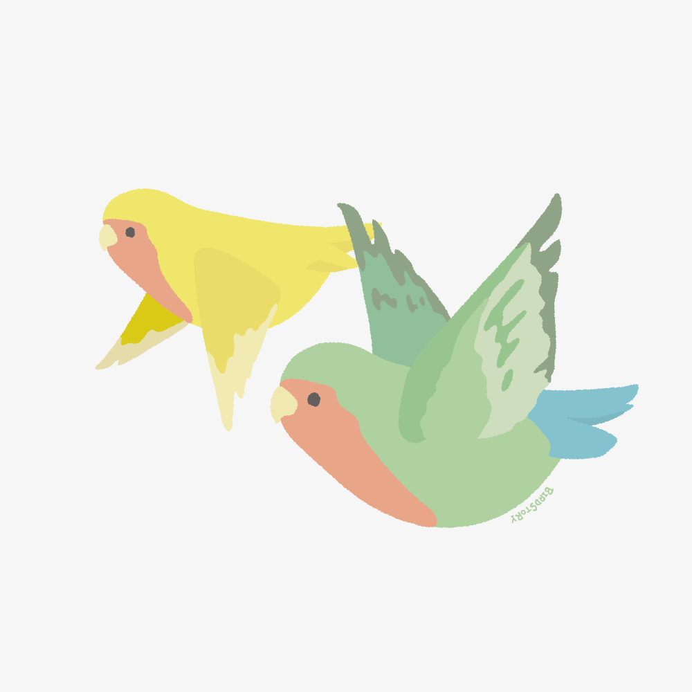 フライングバード 空を舞うコザクラインコイラスト