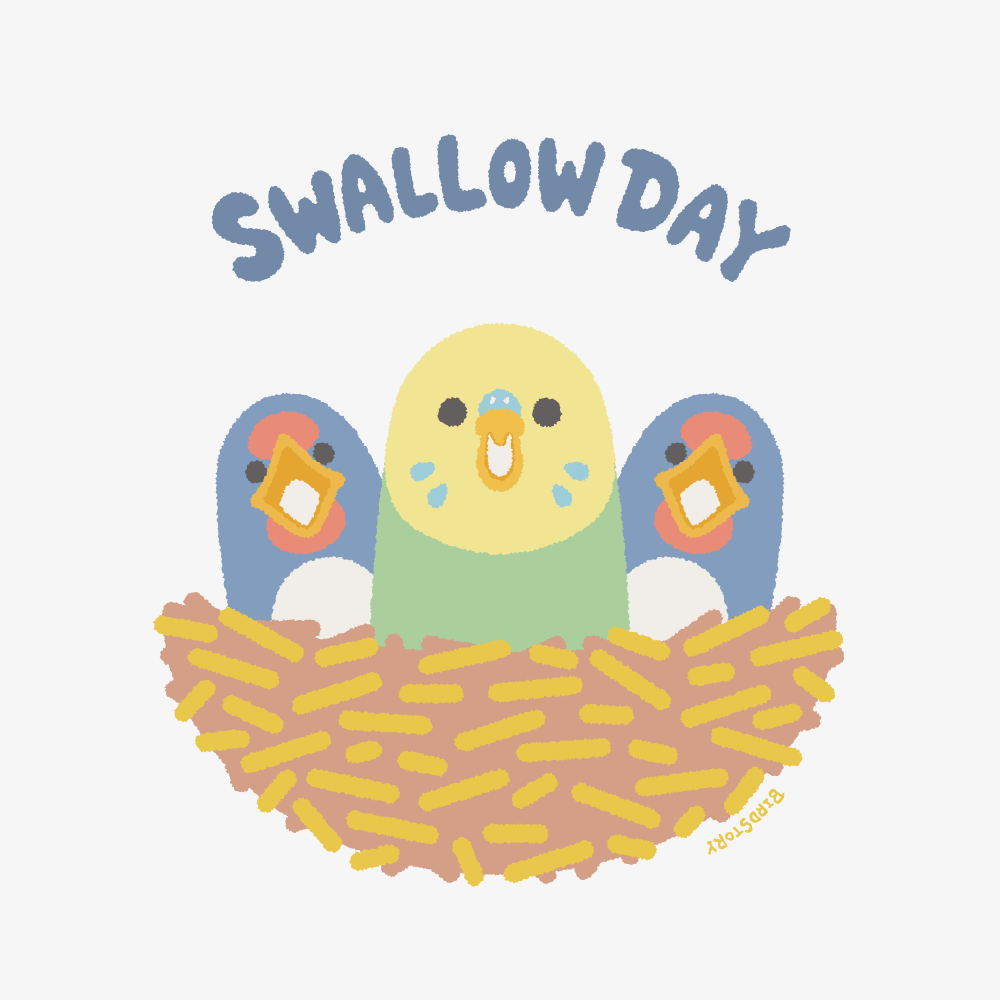 SWALLOW DAY つばめとセキセイインコ