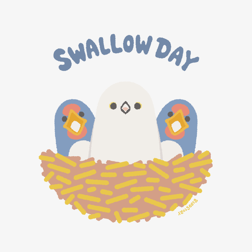 SWALLOW DAY つばめとシマエナガ