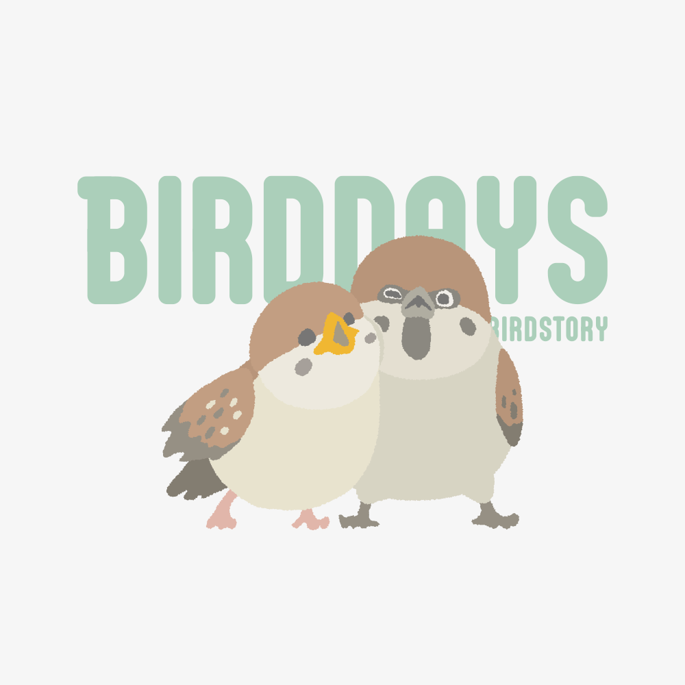 愛鳥週間 野鳥大好き スズメ