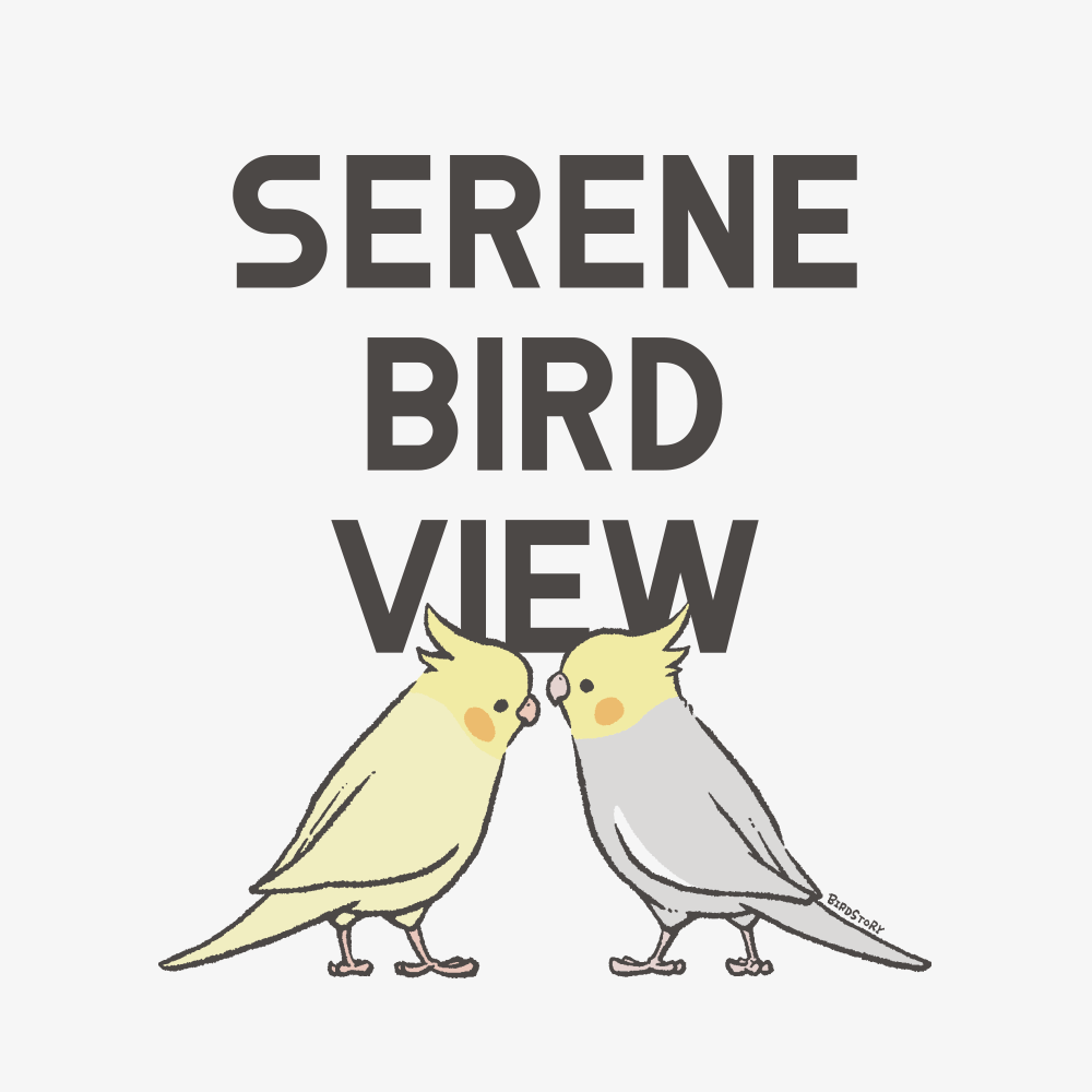 穏やかな光景 オカメインコ