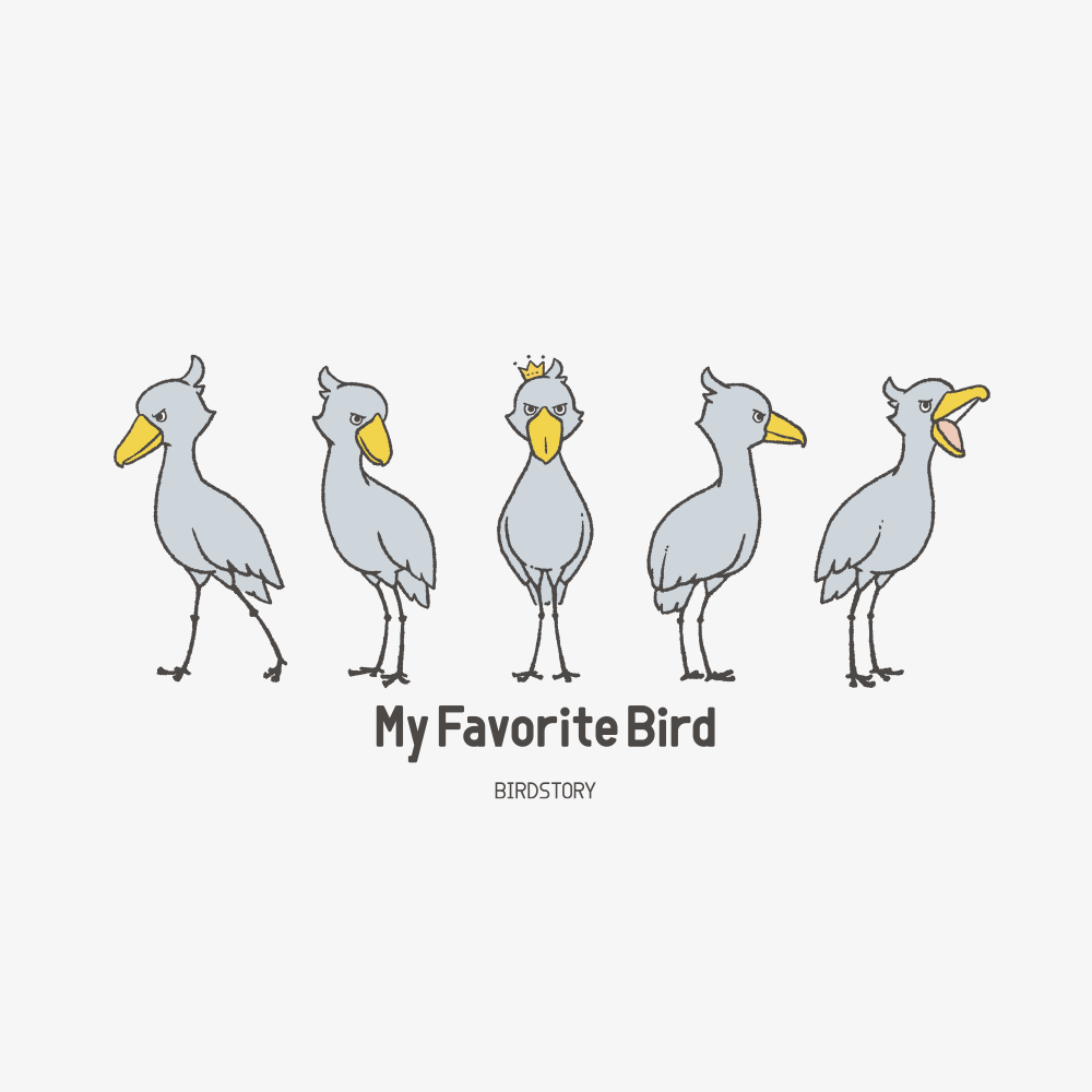 私の推し鳥ハシビロコウ