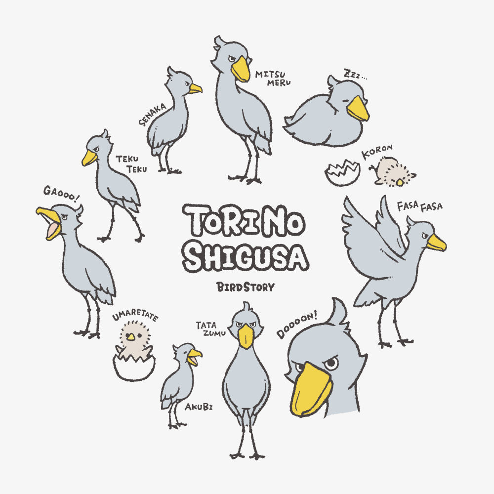 ハシビロコウ TORI NO SHIGUSA 仕草