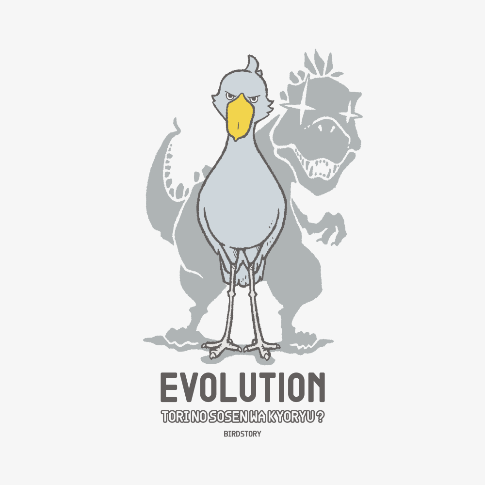 ハシビロコウ 進化論ティラノサウルス 正面顔