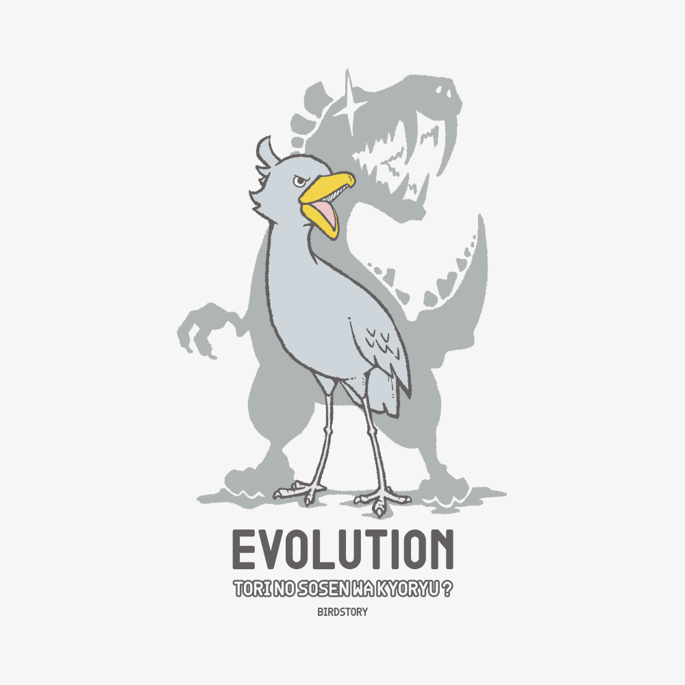 ハシビロコウ 進化論ティラノサウルス 横顔