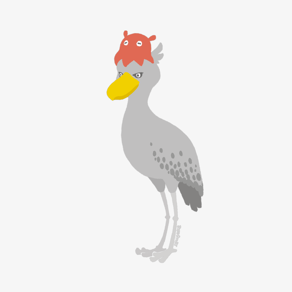 BIRDAQUARIUM / ハシビロコウ×メンダコ