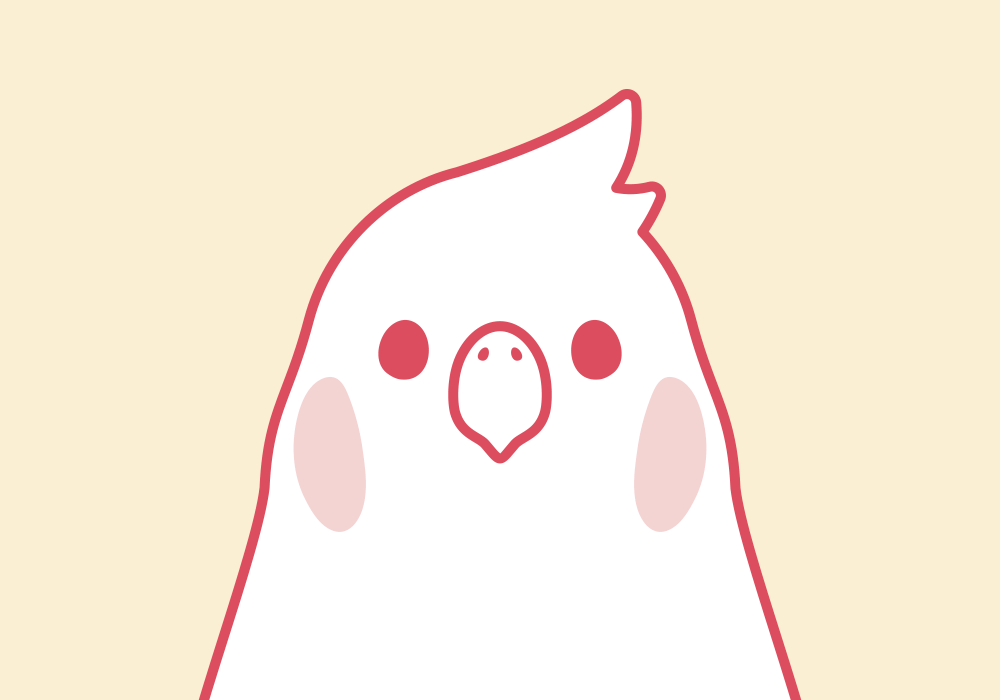 BIRDSTORY福袋 オカメインコ