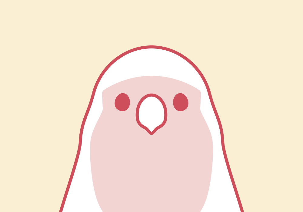 BIRDSTORY福袋 コザクラインコ