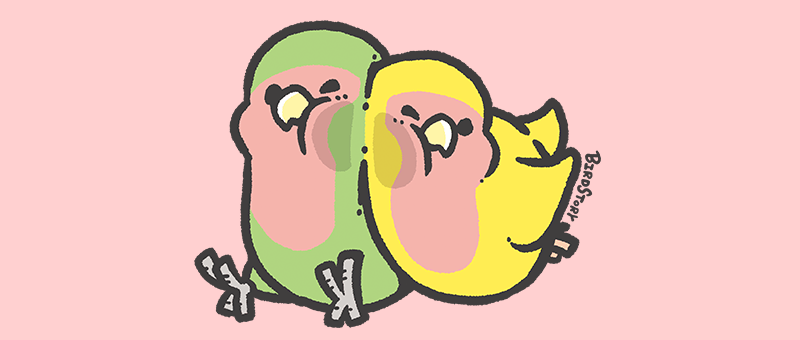 むぎゅ コザクラインコ