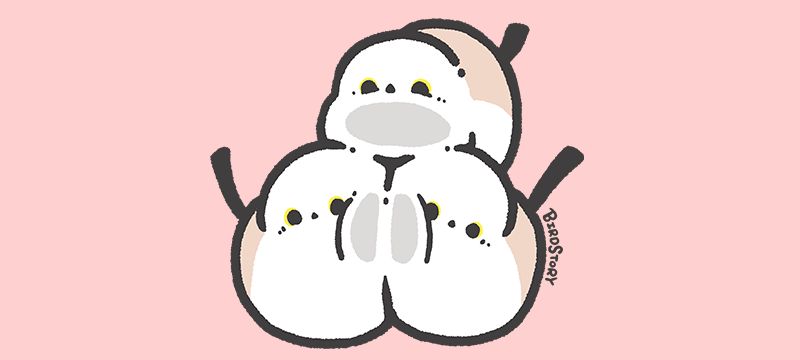 むぎゅ シマエナガ