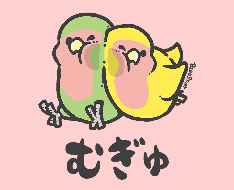 むぎゅ はりつく仲良し コザクラインコ
