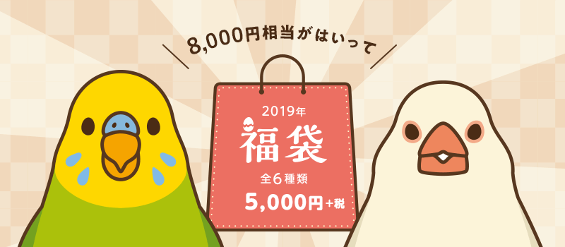 BIRDSTORY福袋 2019 BIRDSTORY