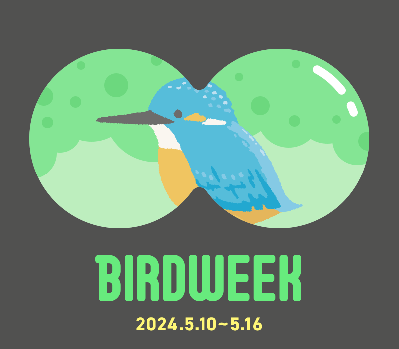 野鳥を自然を大切に 愛鳥週間2024年