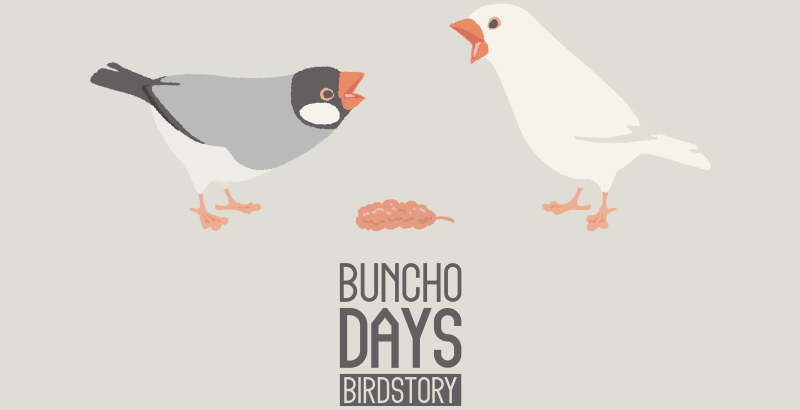 文鳥の日2024記念デザイン BUNCHO DAYS