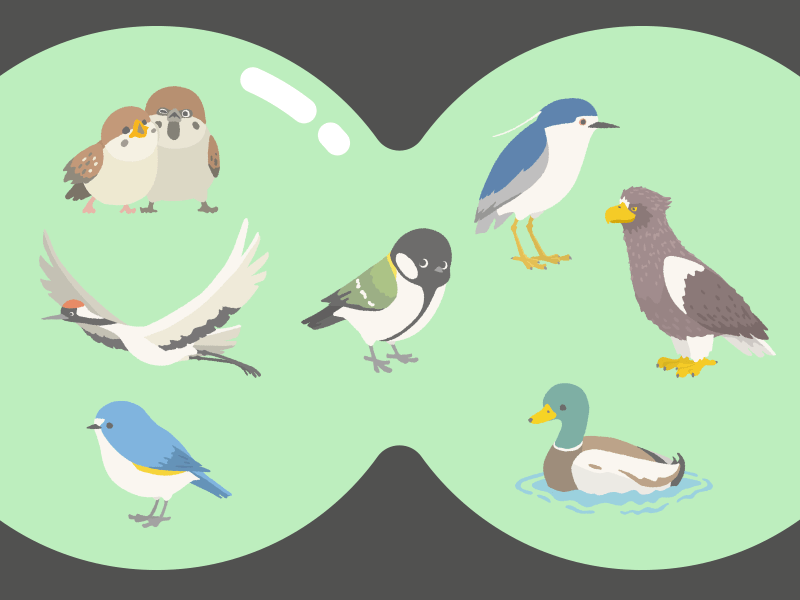 愛鳥週間 WILDBIRD LIST