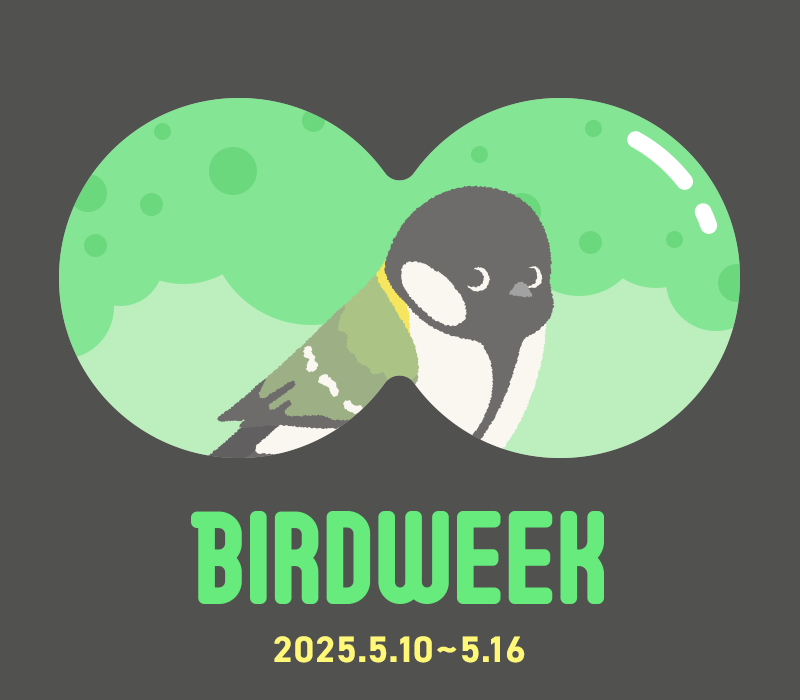 野鳥を自然を大切に 愛鳥週間2025年