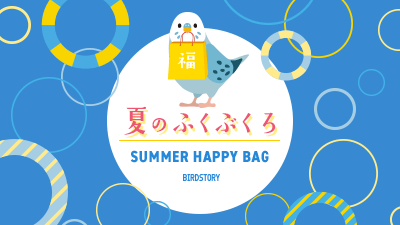 夏の福袋2025年