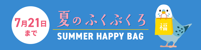 お得な割引 夏の福袋特集