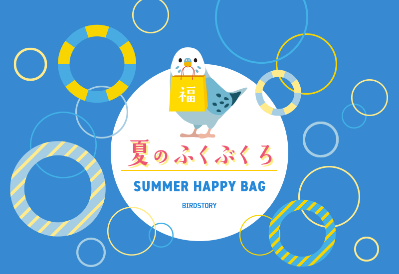 バードストーリーの鳥グッズ夏の福袋2025年
