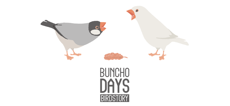 文鳥の日2025デザイン BUNCHO DAYS