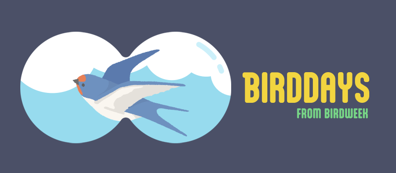 BIRDDAYS 愛鳥週間 野鳥を愛でる