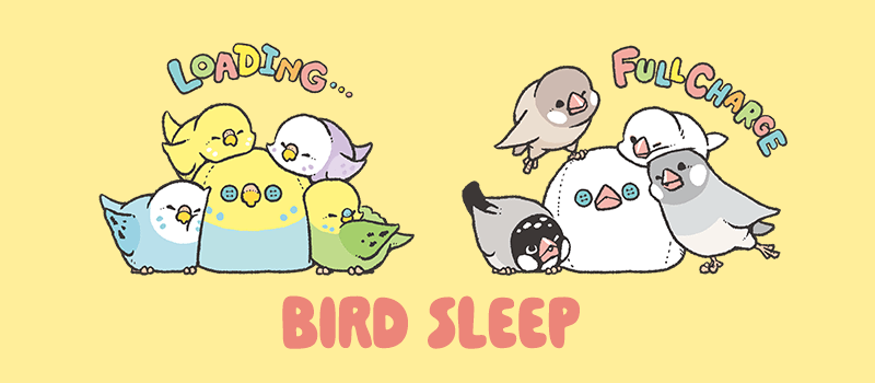 バードスリープ 小鳥の睡眠をテーマにデザイン