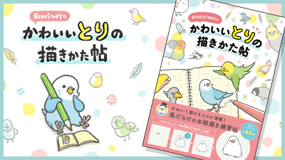 書籍 BIRDSTORYのかわいい鳥の描き方