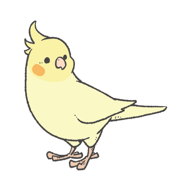 鳥の描き方紹介 オカメインコ