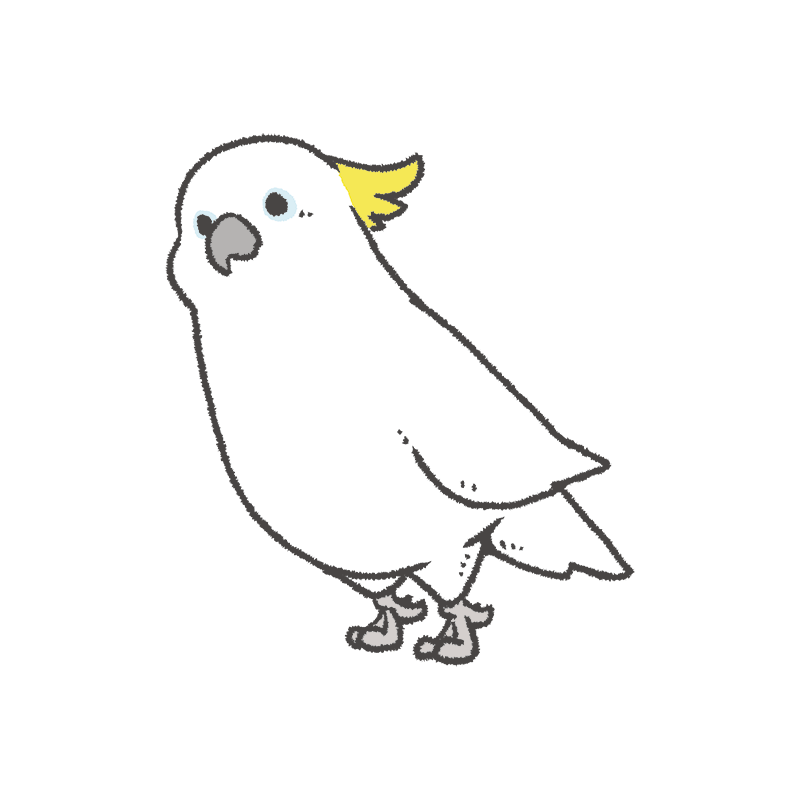 鳥の描き方紹介 キバタン