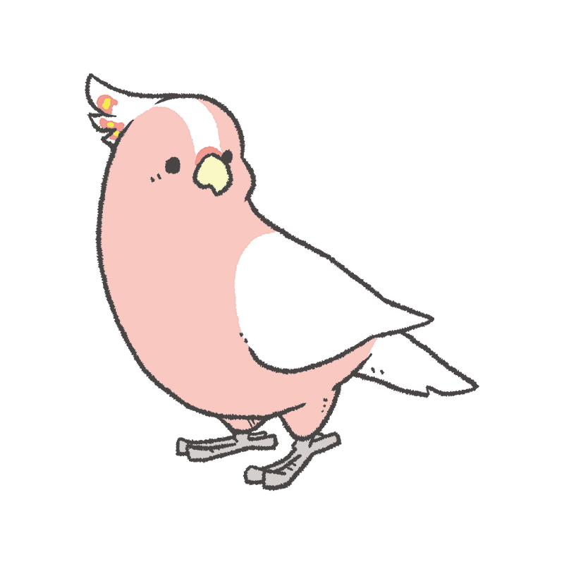 鳥の描き方紹介 クルマサカオウム