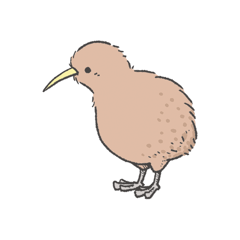 鳥の描き方紹介 キーウィ