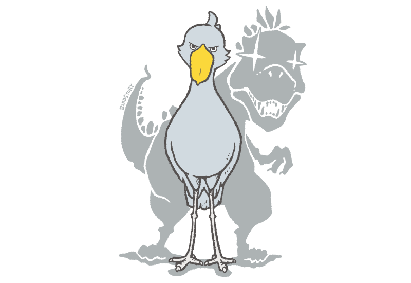 ハシビロコウとTREX