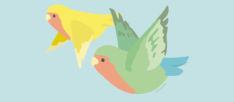 空を飛ぶイラスト コザクラインコ