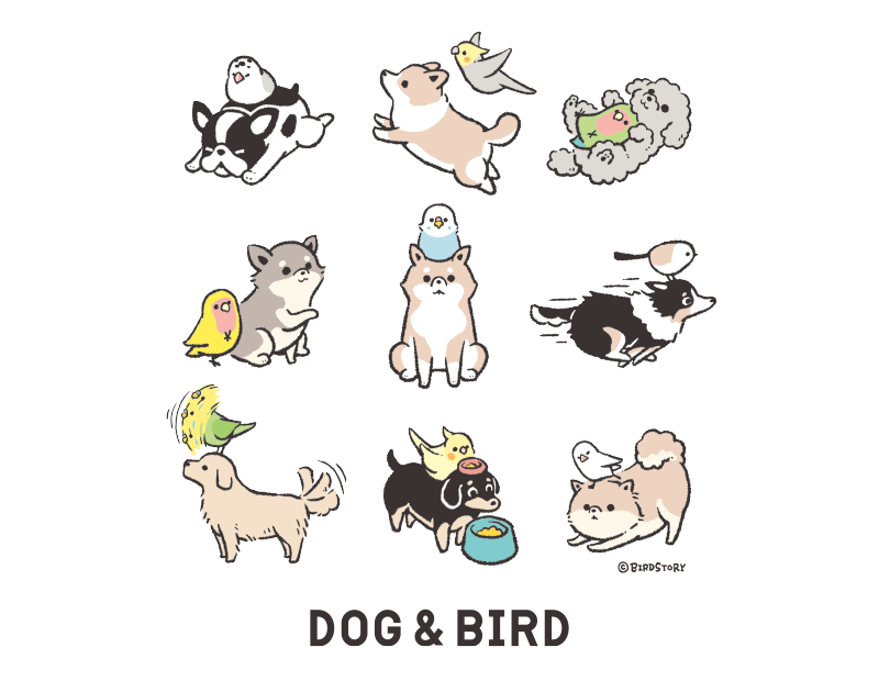 シェルティーや柴犬とインコたち