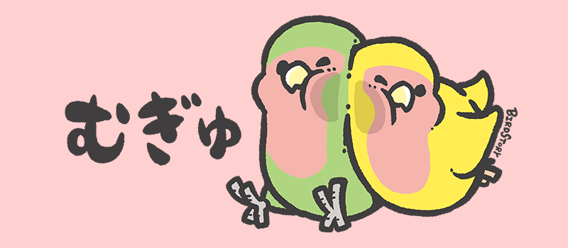 むぎゅっと張り付くコザクラインコ