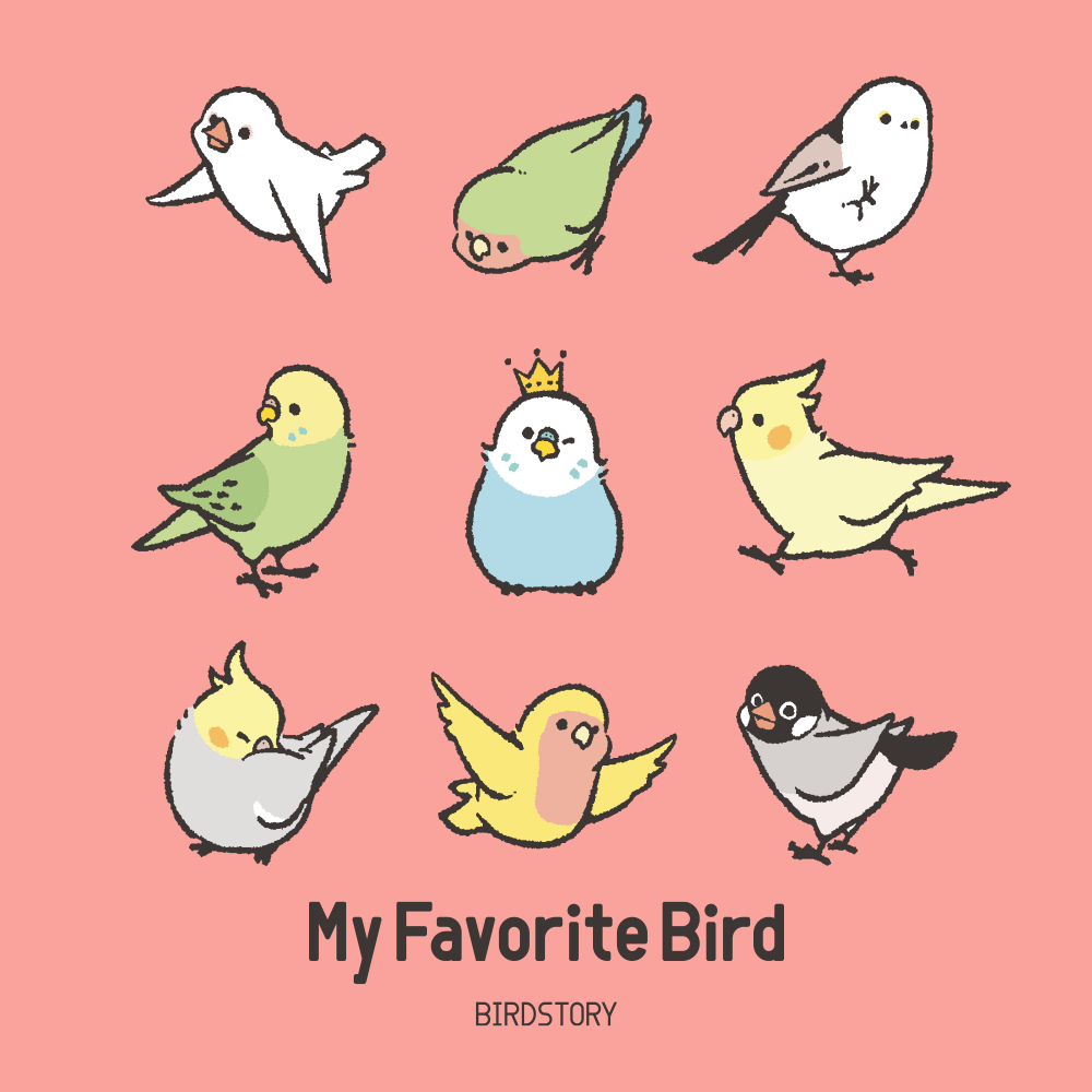 My Favorite Bird 私の推しの鳥さん