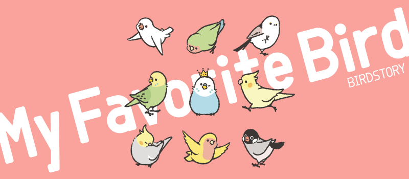 My Favorite Bird 私のいち推し鳥さん