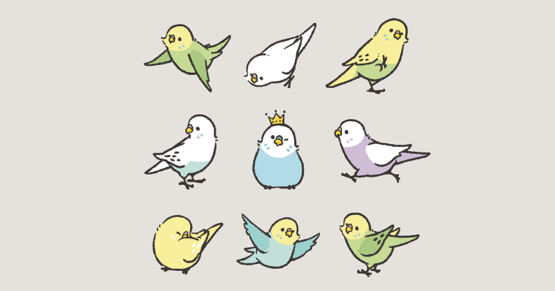 マイフェイバリットバード セキセイインコ