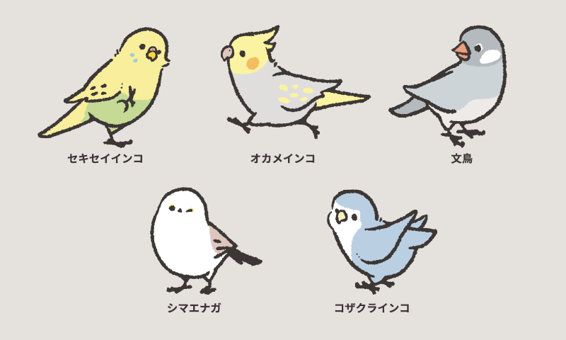 MY FAVORITE BIRD 全部で6種類