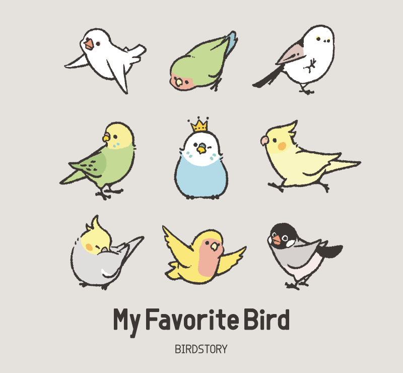 MY FAVORITE BIRD 私のオシ鳥さん