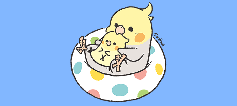 浮き輪とオカメインコ