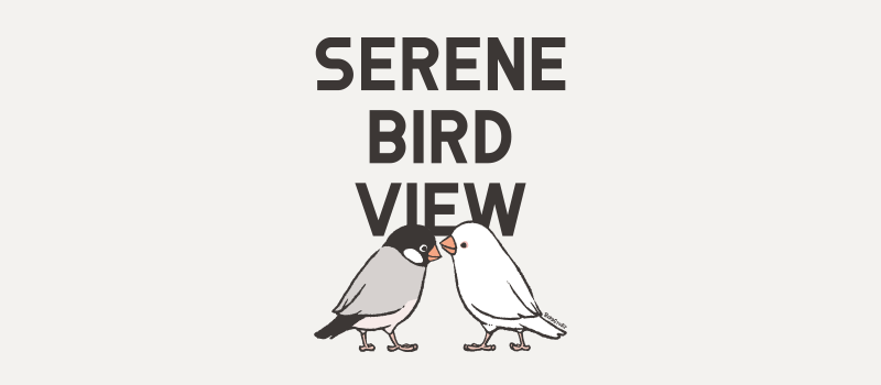 SERENE BIRD VIEW