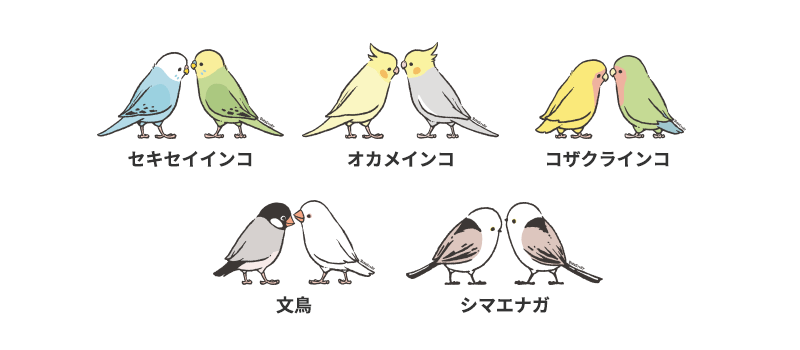 セレインバード 優しい背中の景色